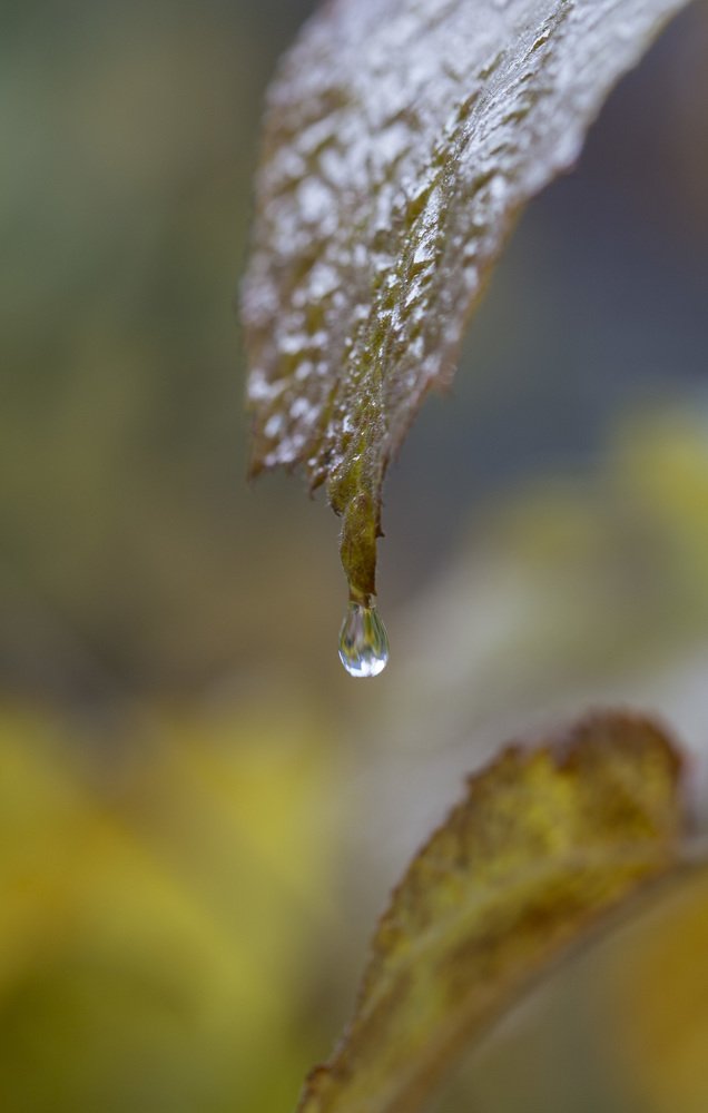 Photograph by Ирина Мутуль