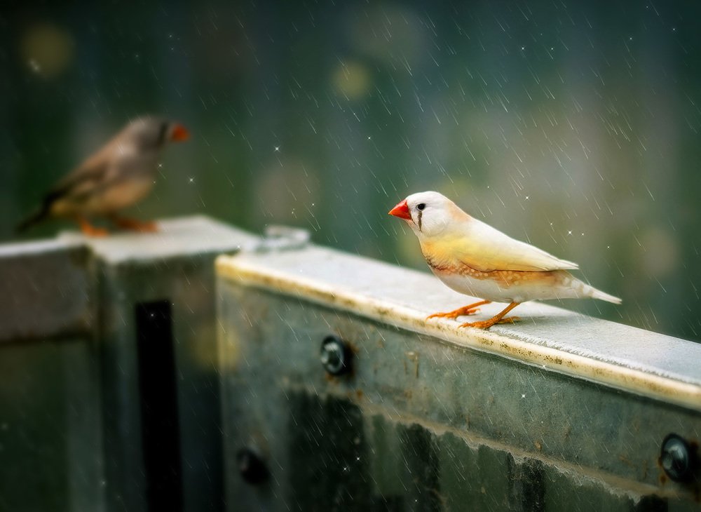 Photograph by AYKUT SEVINC
