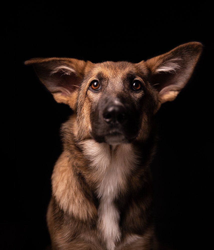 Photograph by Татьяна Кам