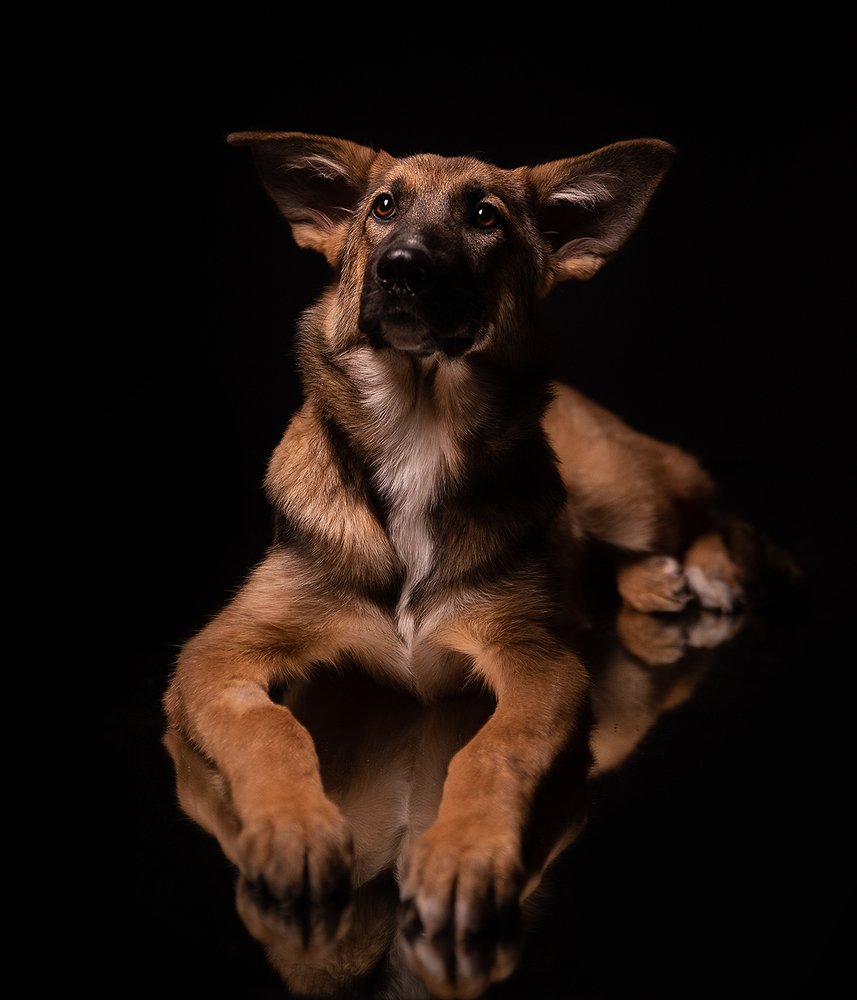 Photograph by Татьяна Кам