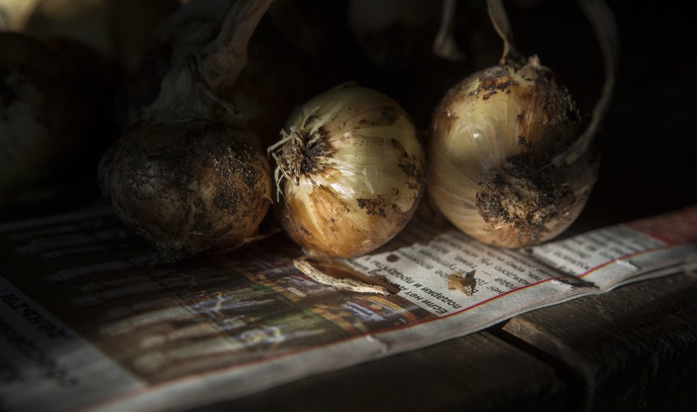 Photograph by Ирина Мутуль