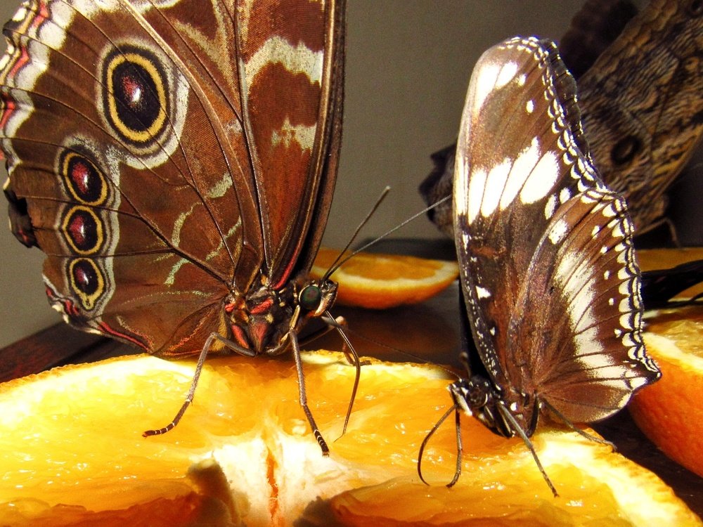 Photograph by Марина Савченко