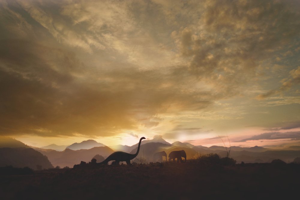 Once upon a time....