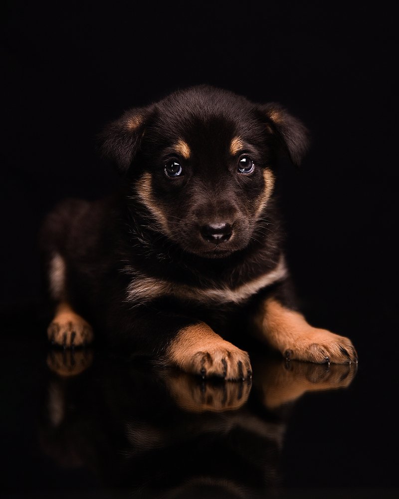 Photograph by Татьяна Кам