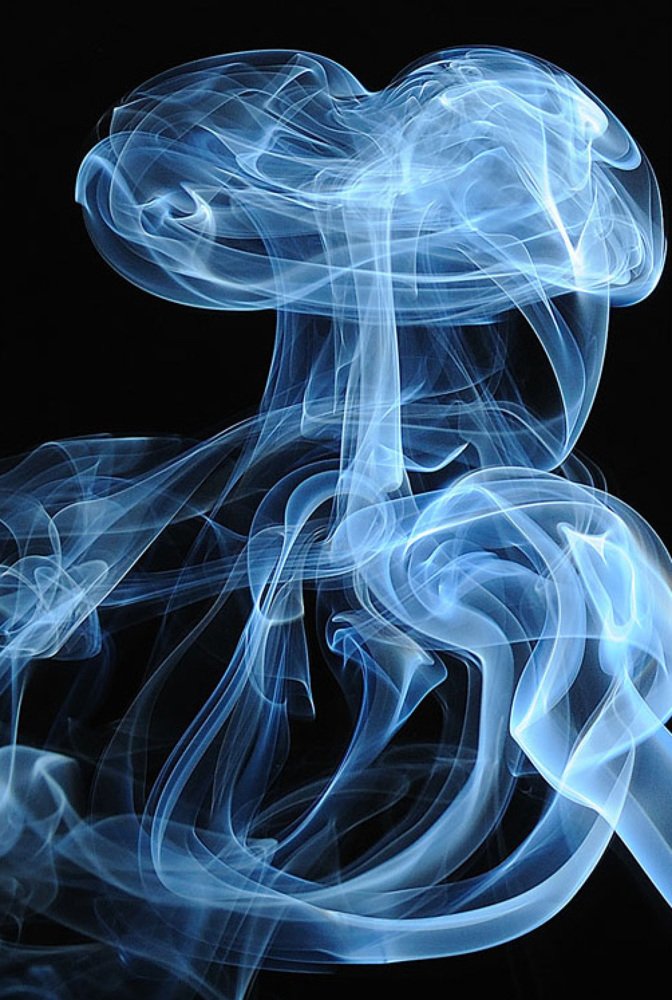 Photograph by Николай Рахматулин