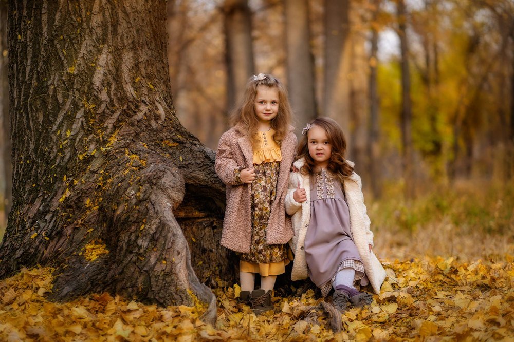 Золотая осень в лесу