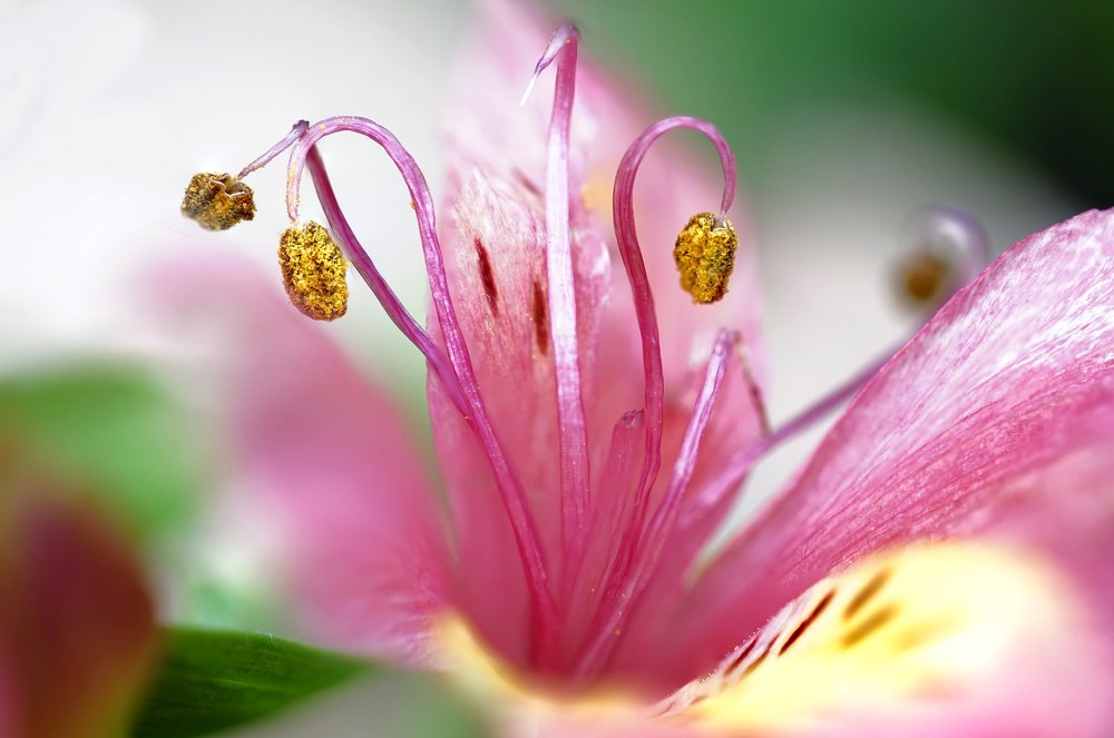 Photograph by Meng Poh Lee