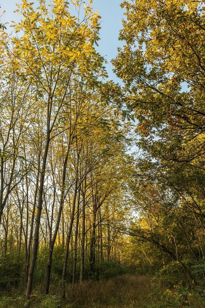 Photograph by Daniel Boca