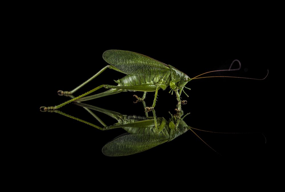 Photograph by Сергей Чупахин