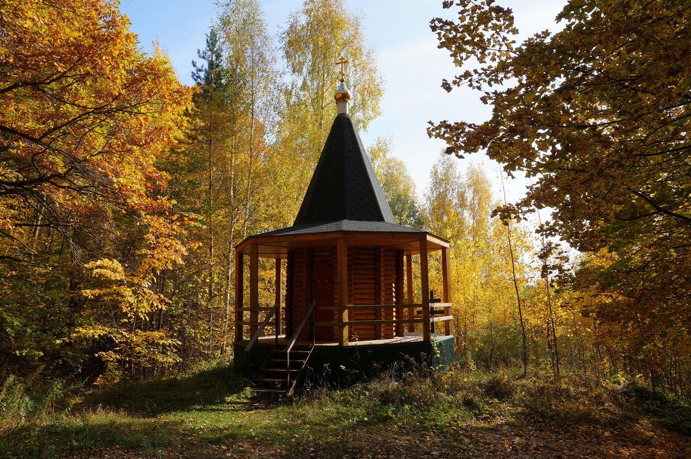 А золоты не только купола ...Позолотила осень и деревья ...