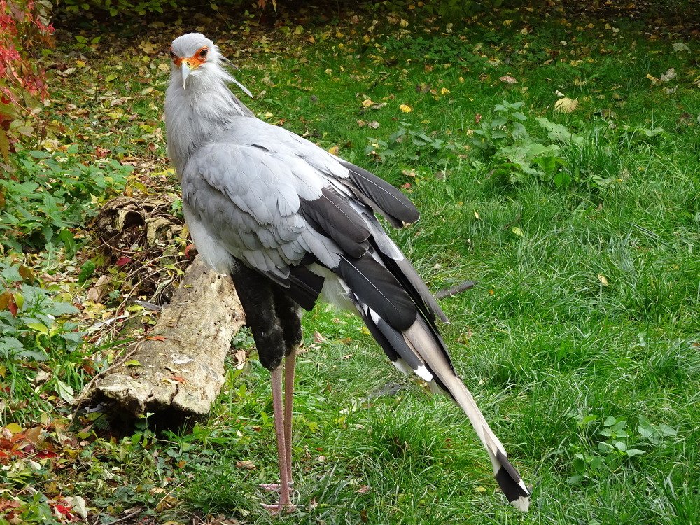 Photograph by Людмила