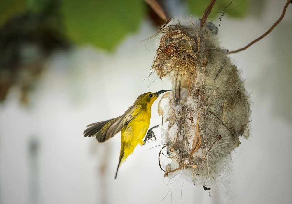 Photograph by Catherine Chong