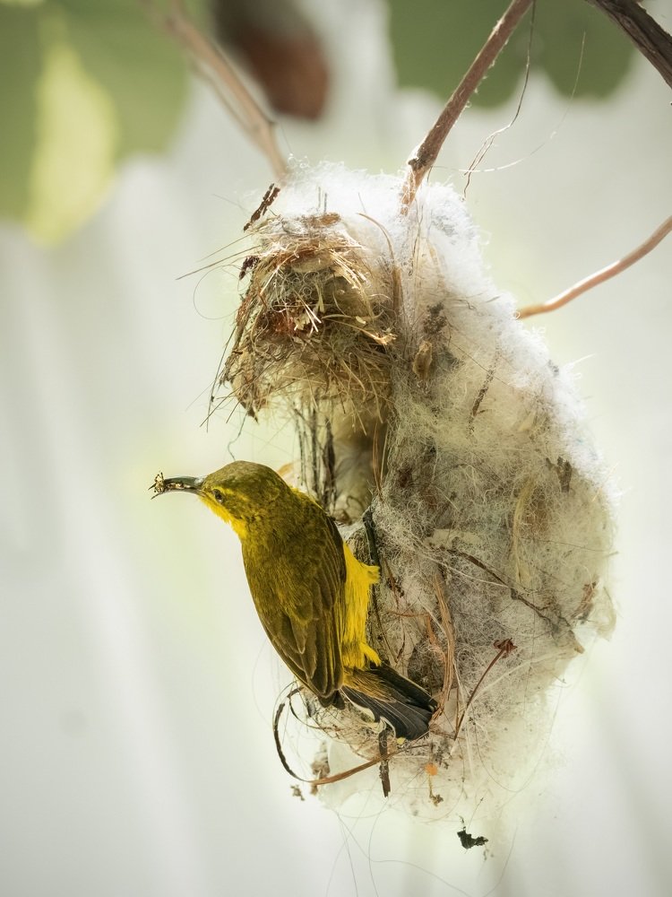 Photograph by Catherine Chong