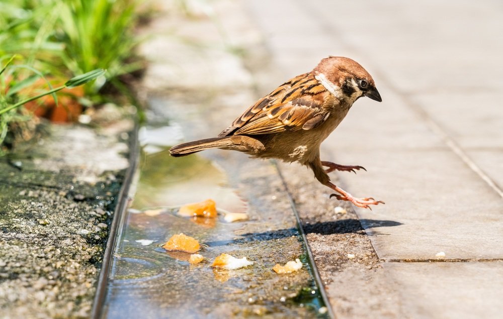 Photograph by Catherine Chong