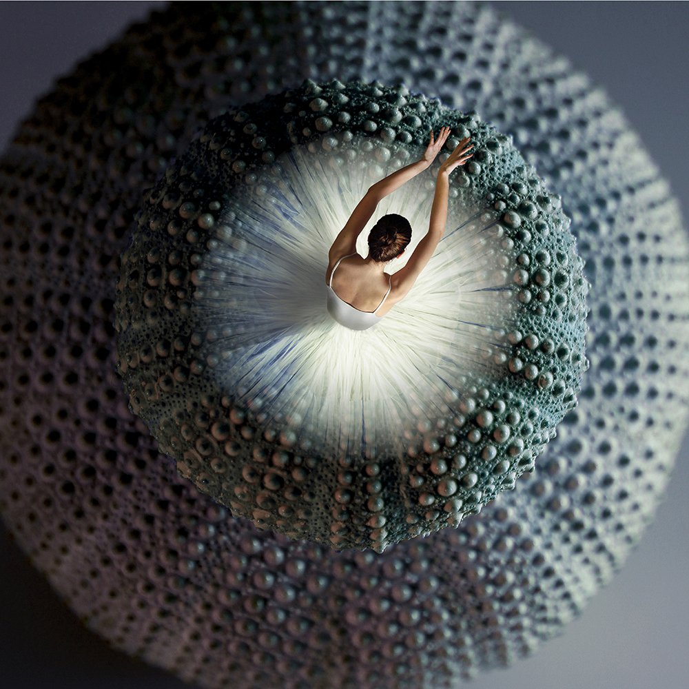 Photograph by Nenad Martić