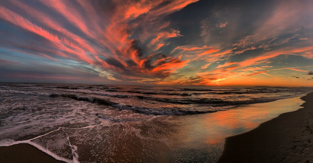 Photograph by Francesca  Sasanelli