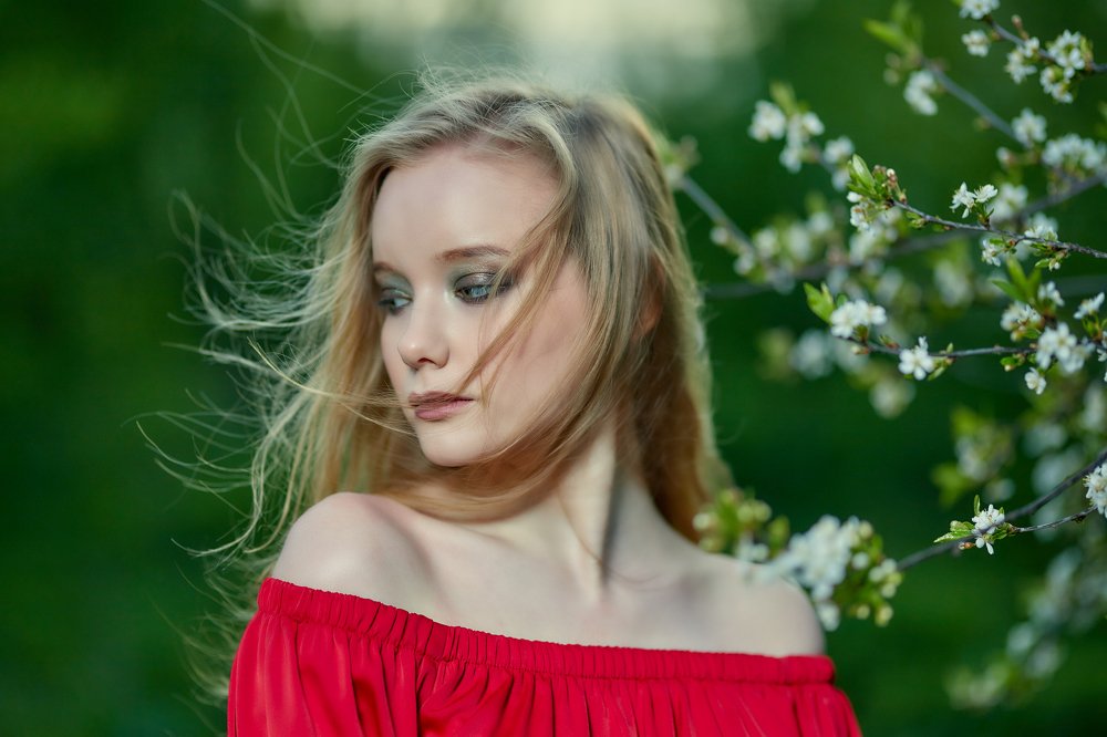 Photograph by Владимир Суздалов