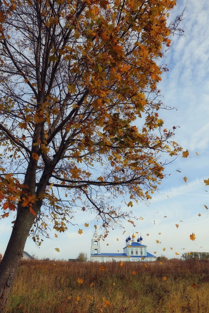 Покровский храм, село Покровское, в день Покрова Пресвятой Богородицы.
