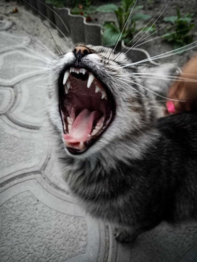 Photograph by Оля Белоусова