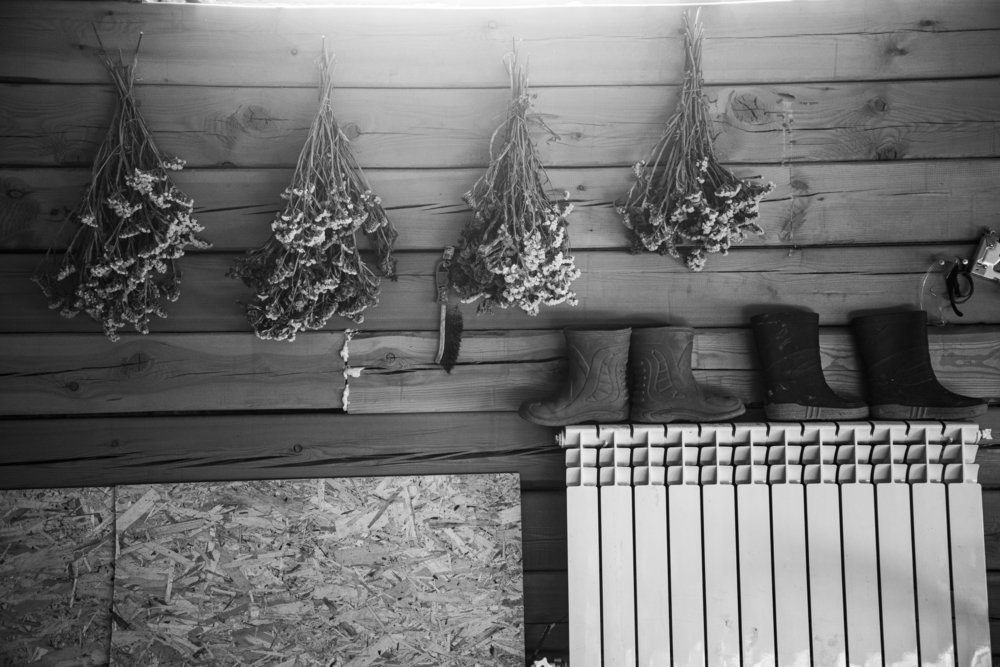 Photograph by Дарья Молчанова