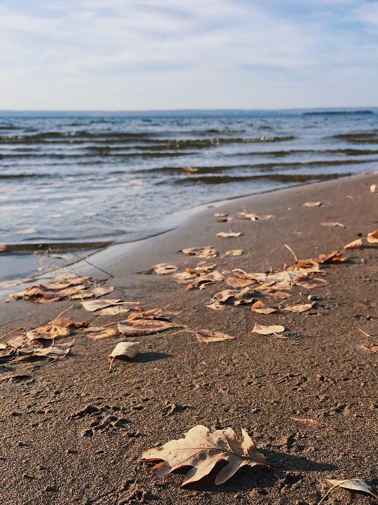 Photograph by Анастасия Чернякова