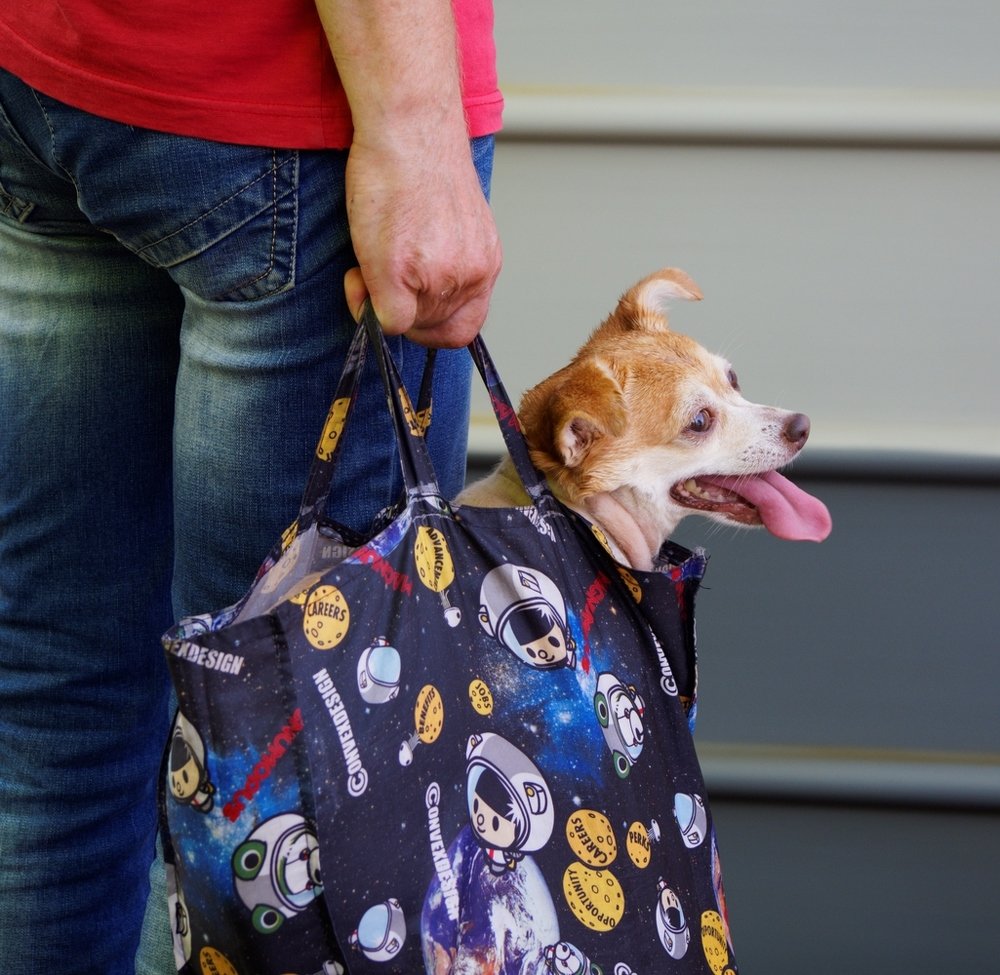 Photograph by Павел Кулинич