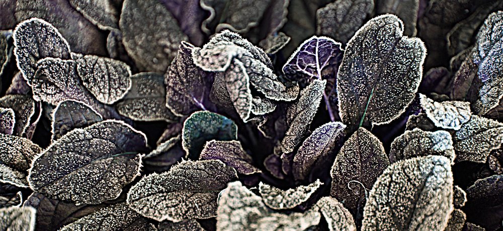 Photograph by Владимир Шуба