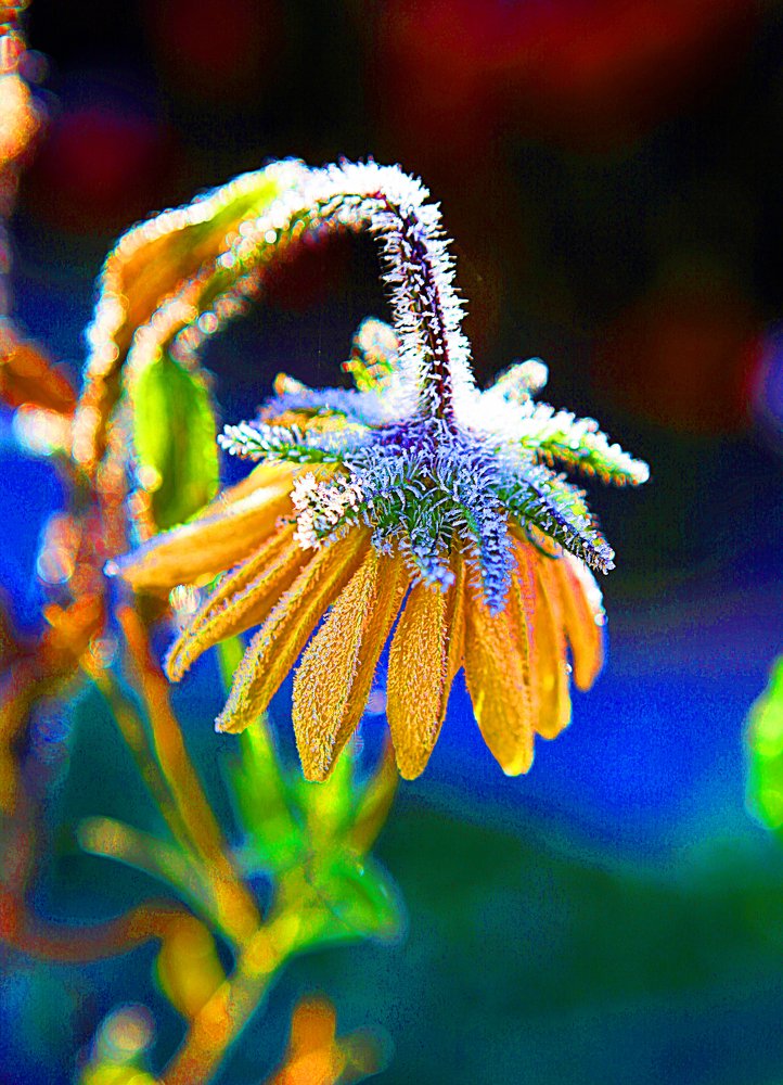 Photograph by Владимир Шуба