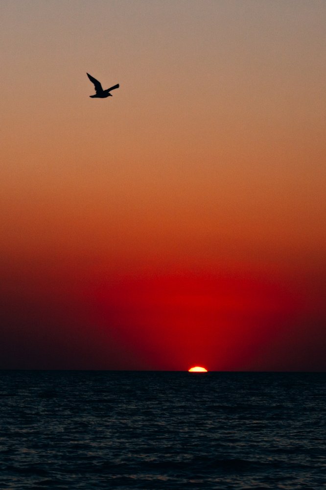 Photograph by Екатерина Кваша