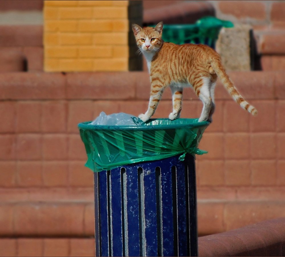 Photograph by Яков