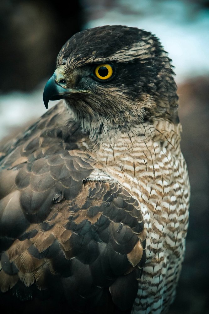 Photograph by Екатерина Кулакова