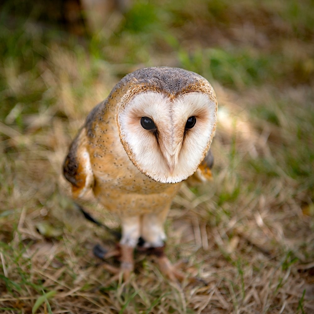 Photograph by Milan Uhrin