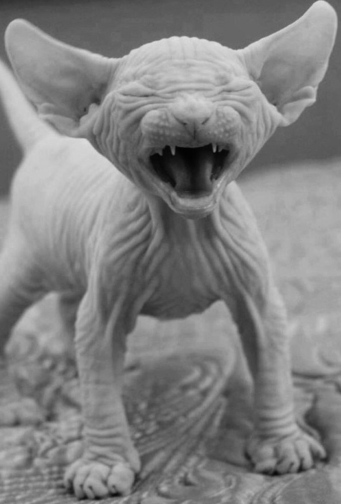 Photograph by Алексей Гардер