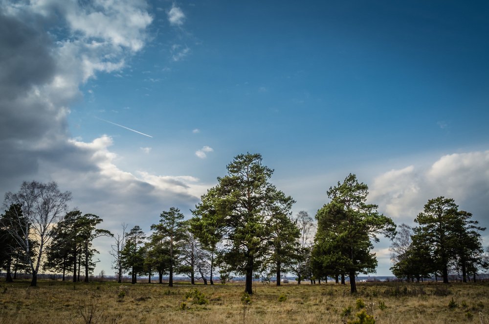 Просторы Сибири