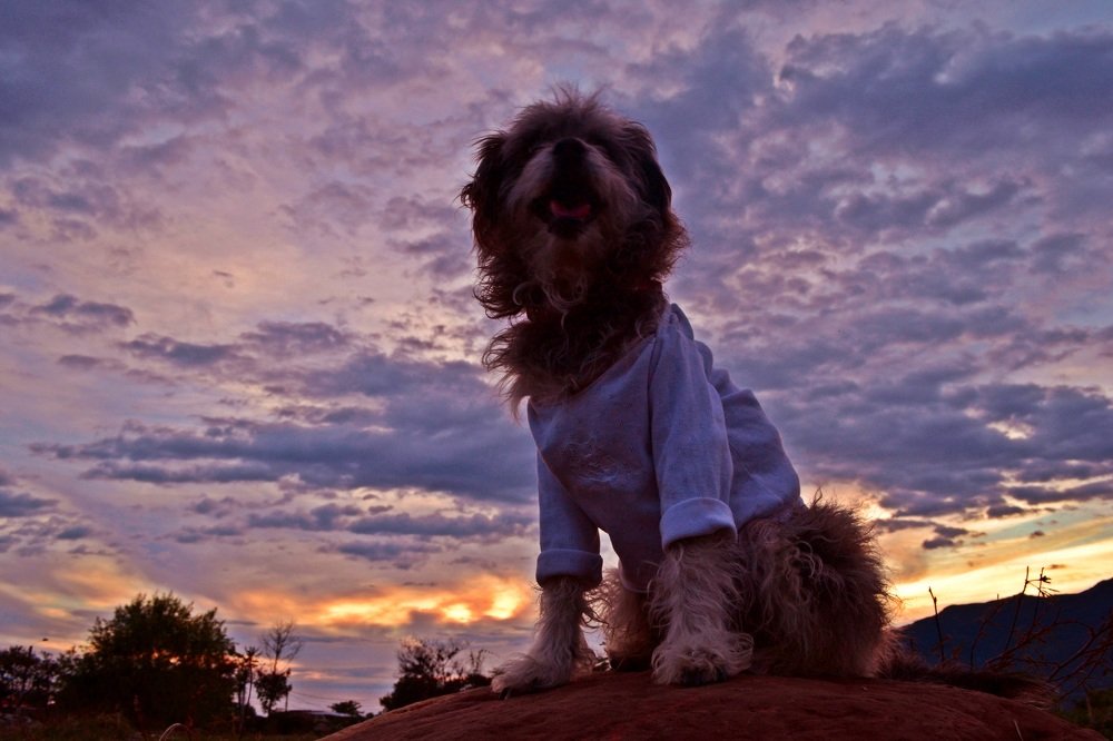 Фотография автора Yako Laverde