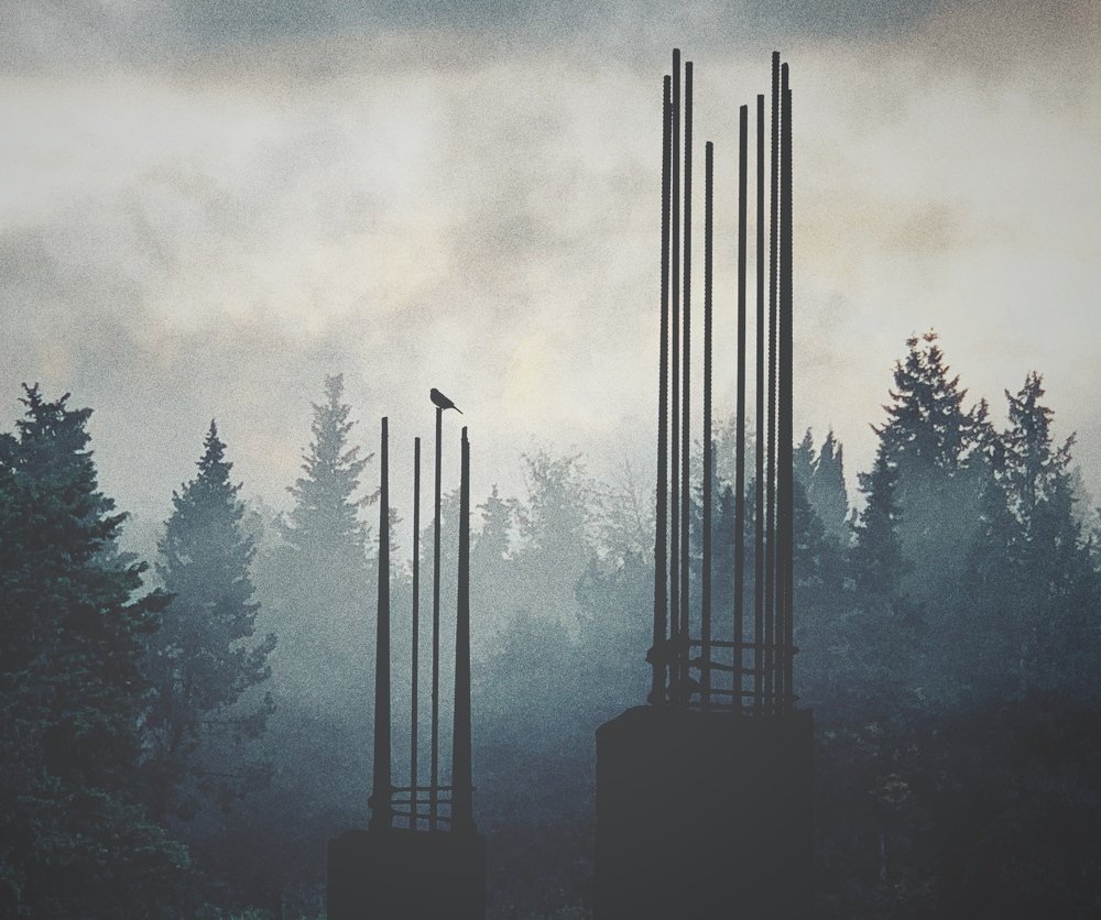 Photograph by Arezoo Mosaddegh