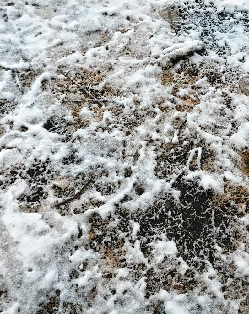 Photograph by Валентина Старикова