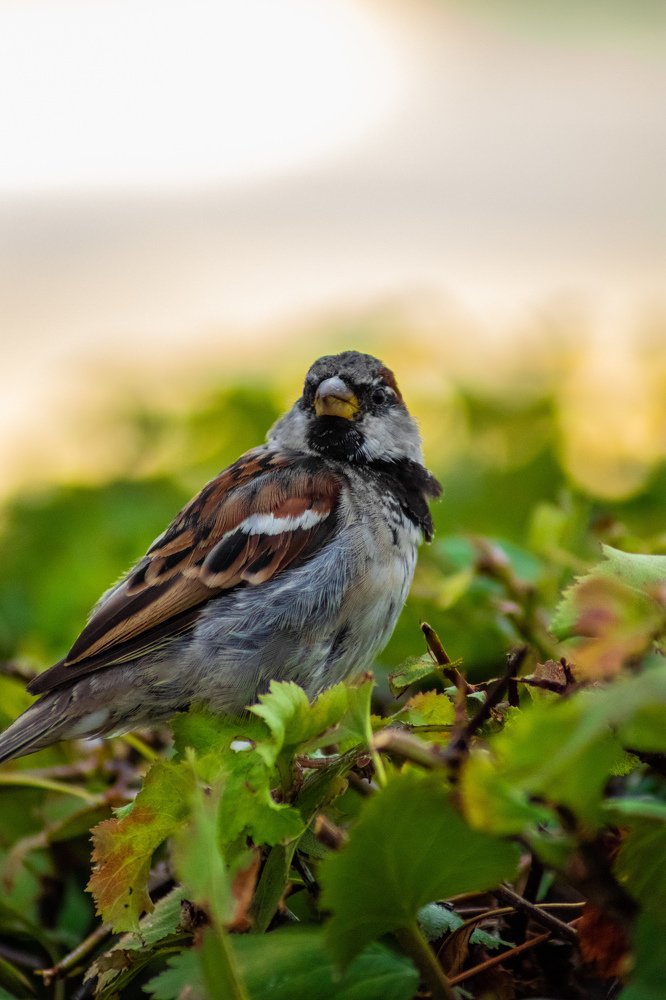 Photograph by Дамир Давронов