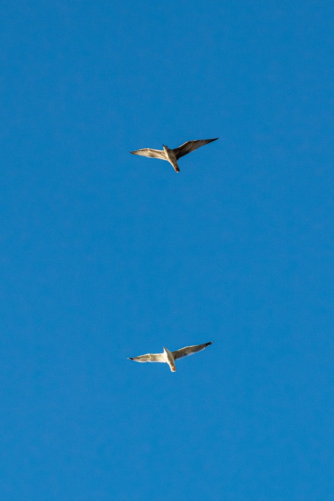 Photograph by Дамир Давронов