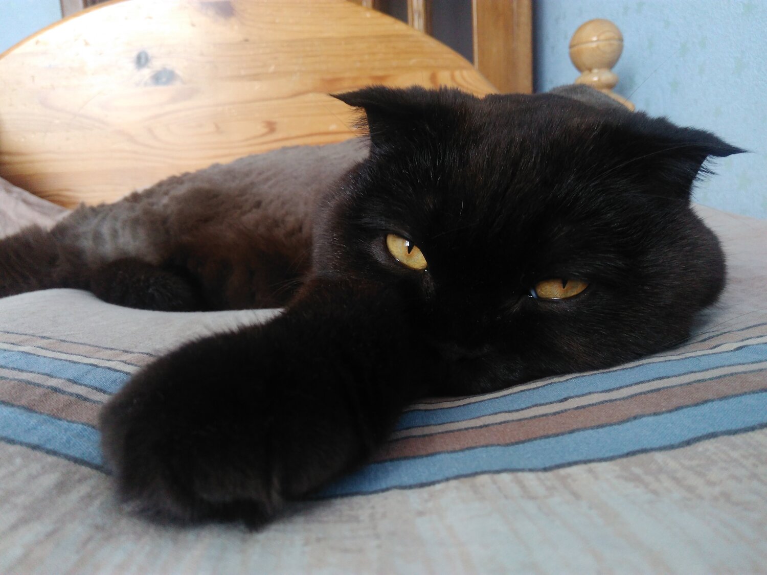 Photo #5131315