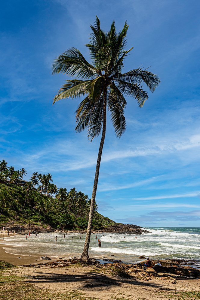 Photograph by Joao R Cortez