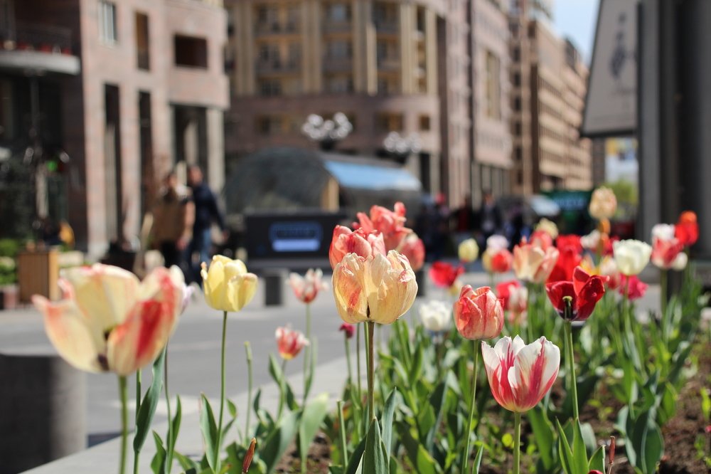 Весна в городе