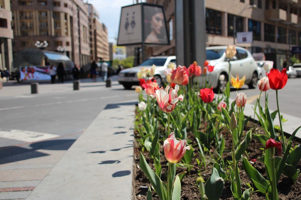 Весна в городе