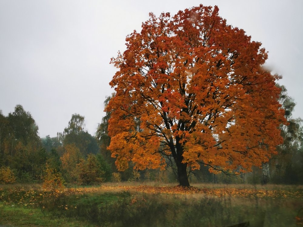 Photograph by Любовь Тарасюк