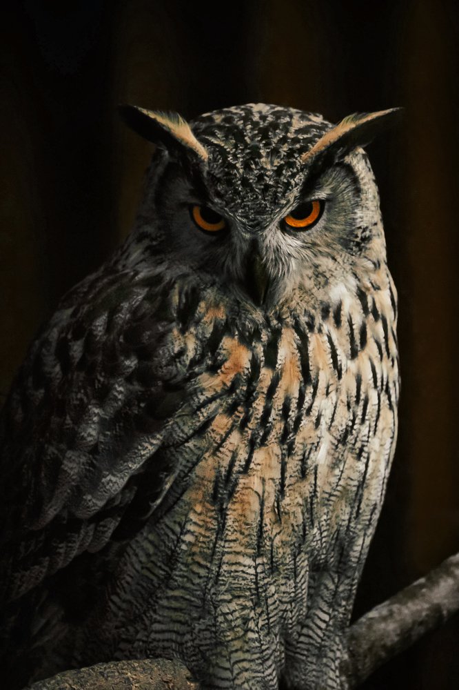 Photograph by Екатерина Кулакова