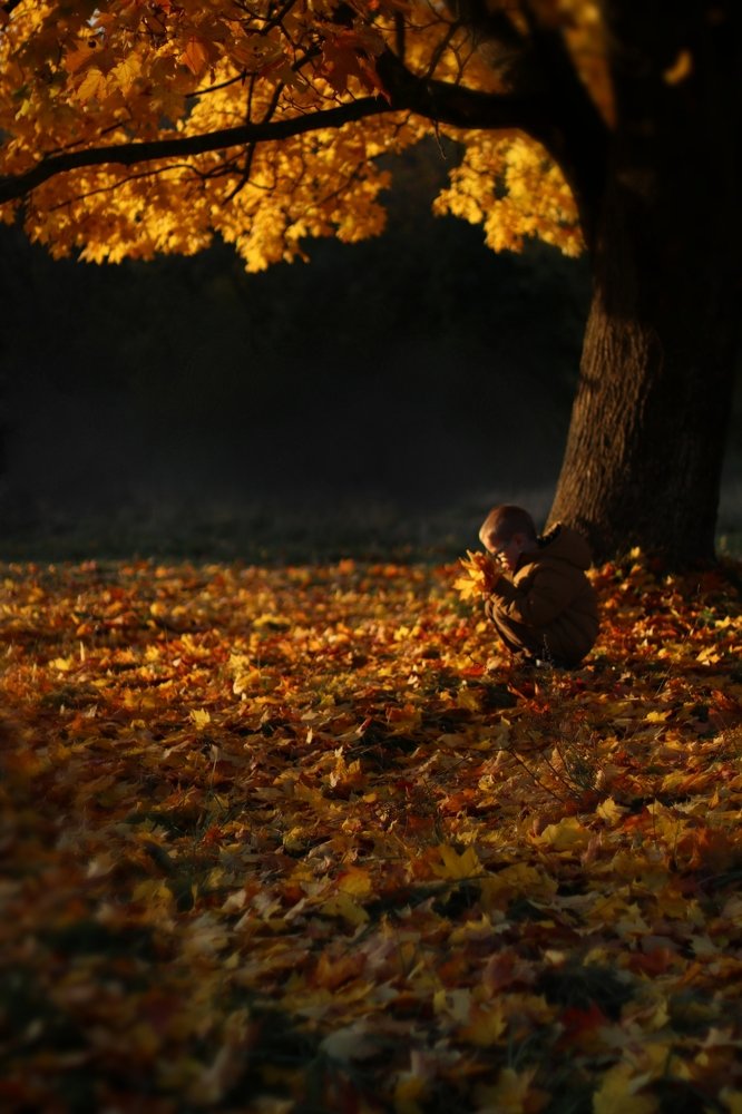 Photograph by Любовь Тарасюк