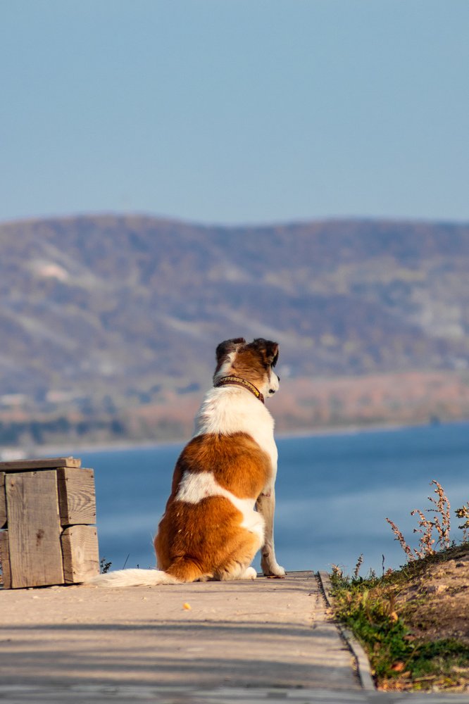 Photograph by Дамир Давронов