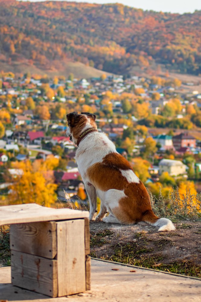 Photograph by Дамир Давронов