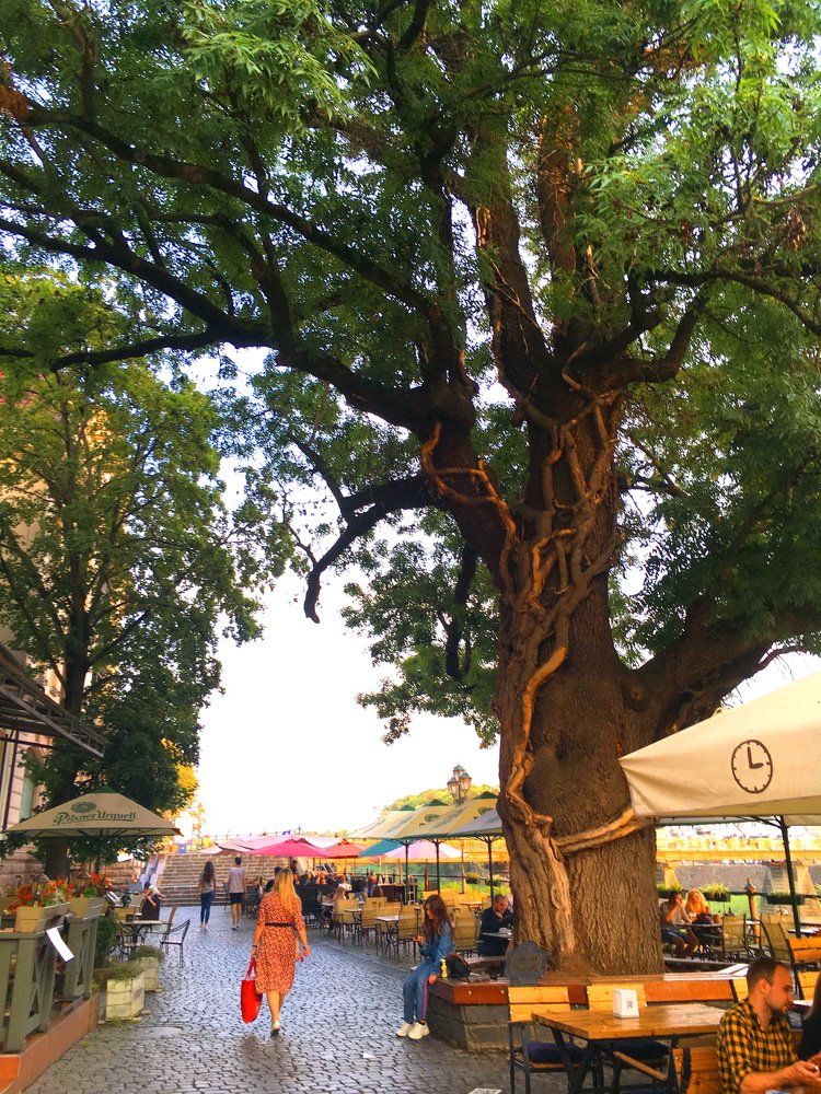 Photograph by Anna Krasova