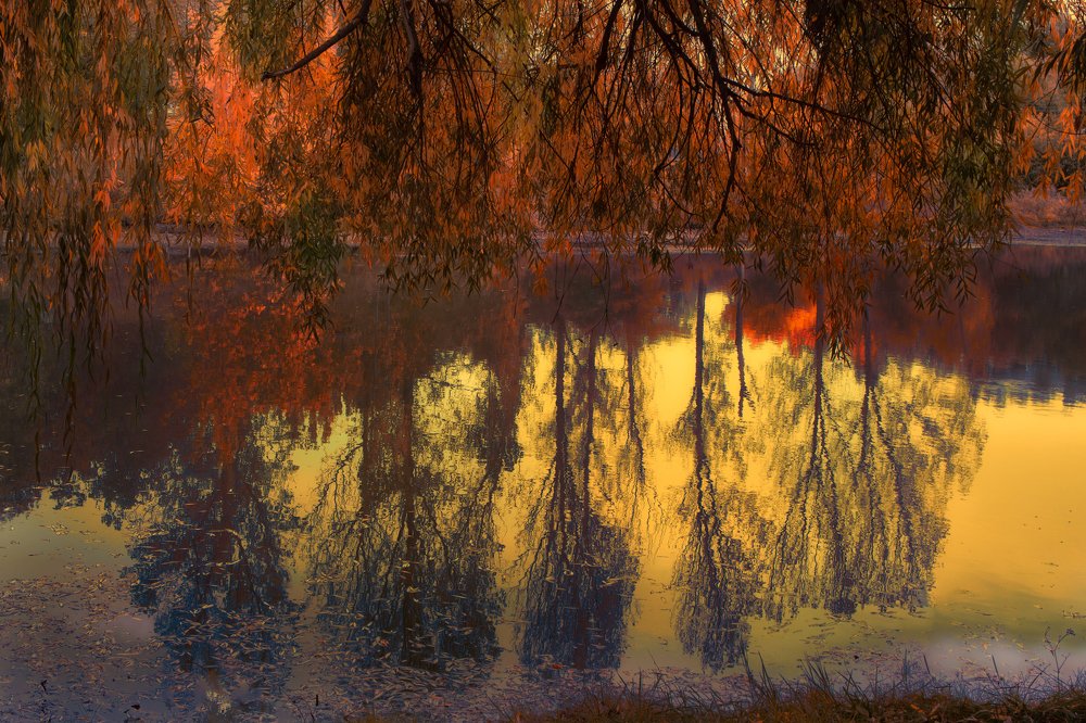 Photograph by Eлена Спивак